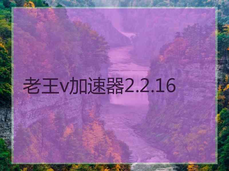 老王v加速器2.2.16