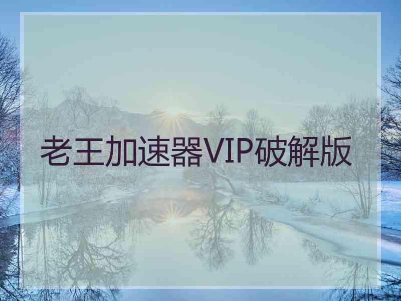 老王加速器VIP破解版