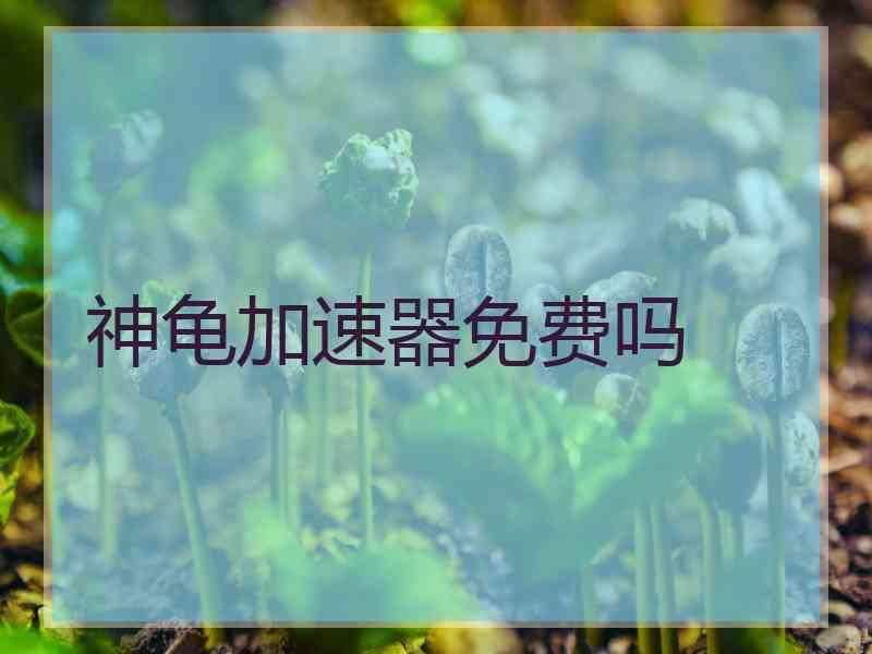 神龟加速器免费吗