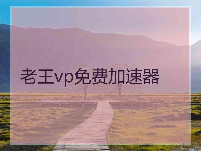 老王vp免费加速器