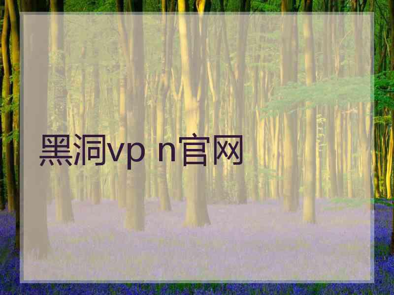 黑洞vp n官网