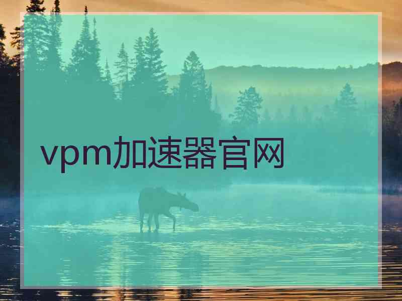 vpm加速器官网