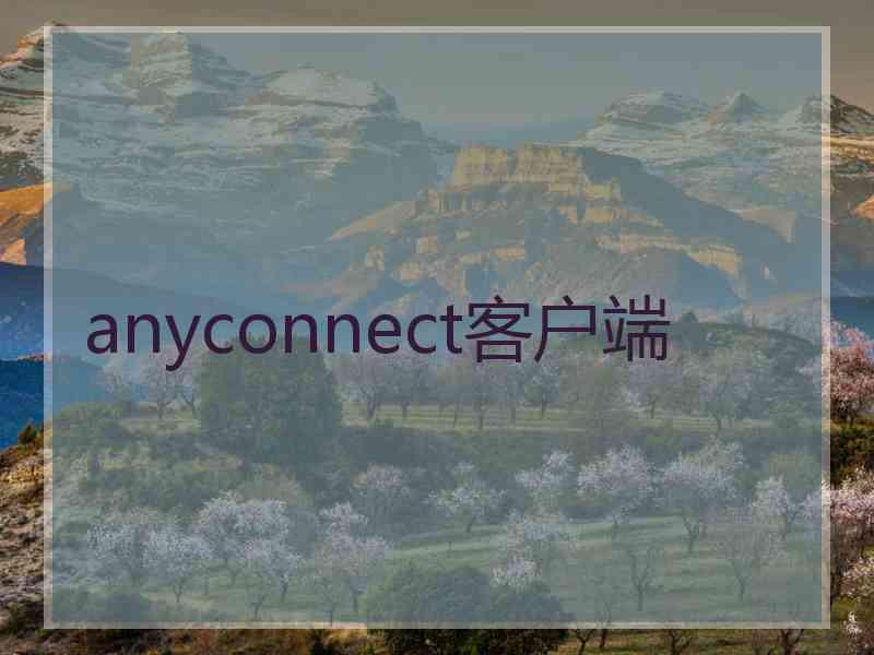 anyconnect客户端