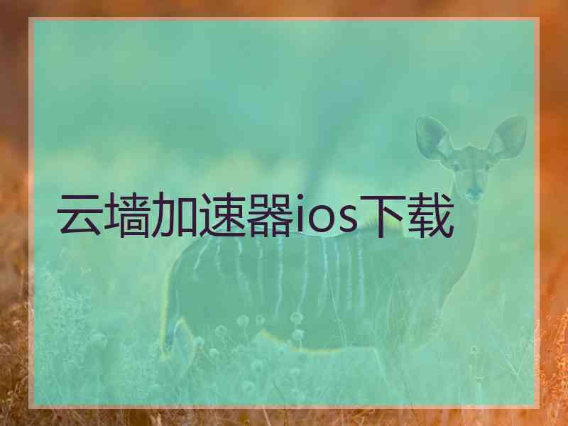 云墙加速器ios下载