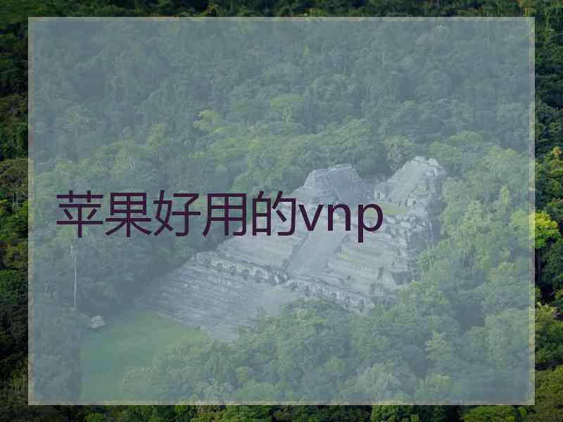 苹果好用的vnp