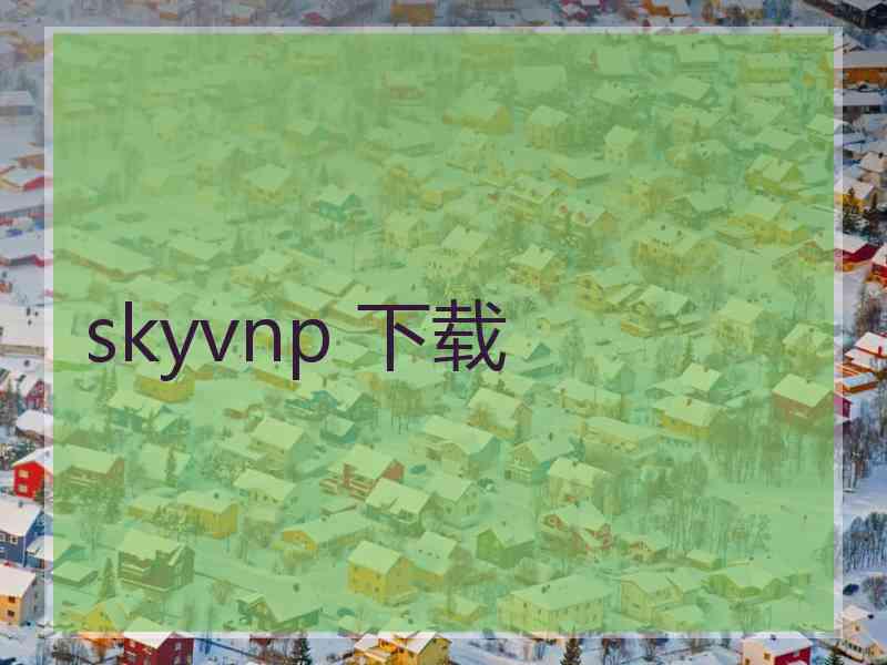 skyvnp 下载