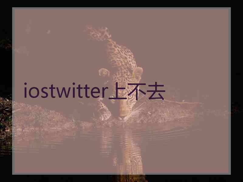 iostwitter上不去