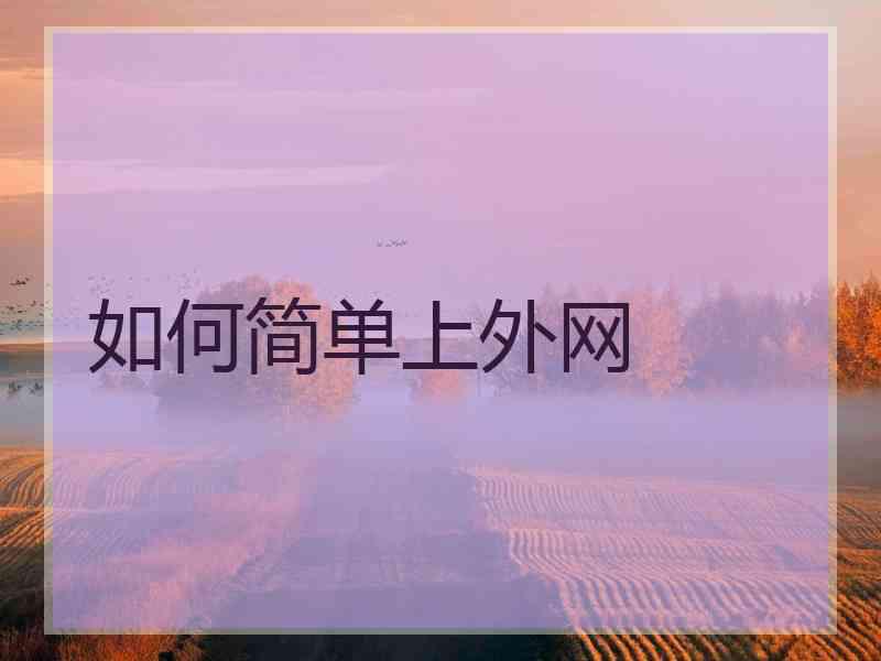 如何简单上外网