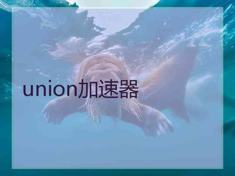 union加速器