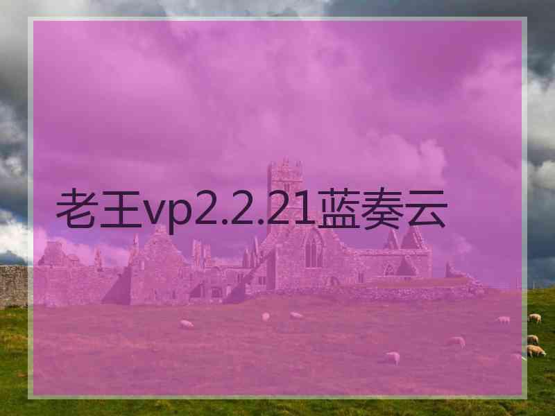 老王vp2.2.21蓝奏云