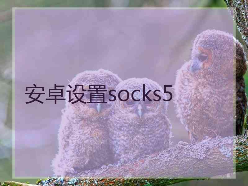 安卓设置socks5