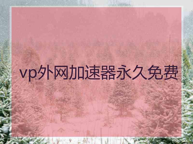 vp外网加速器永久免费