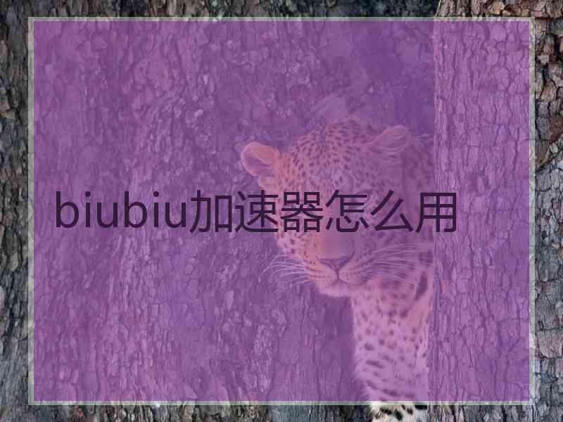 biubiu加速器怎么用