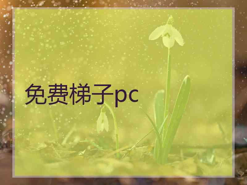 免费梯子pc