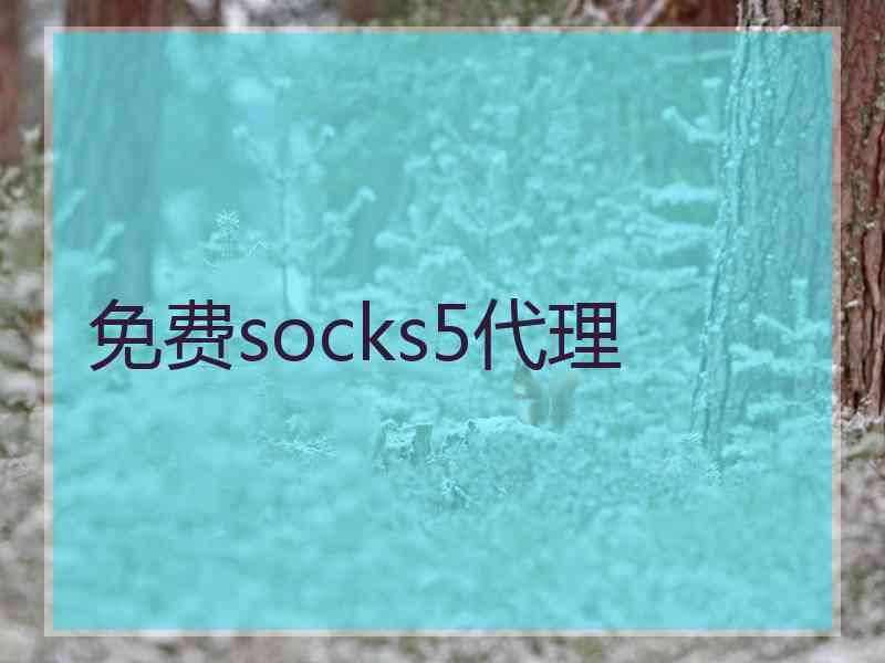 免费socks5代理