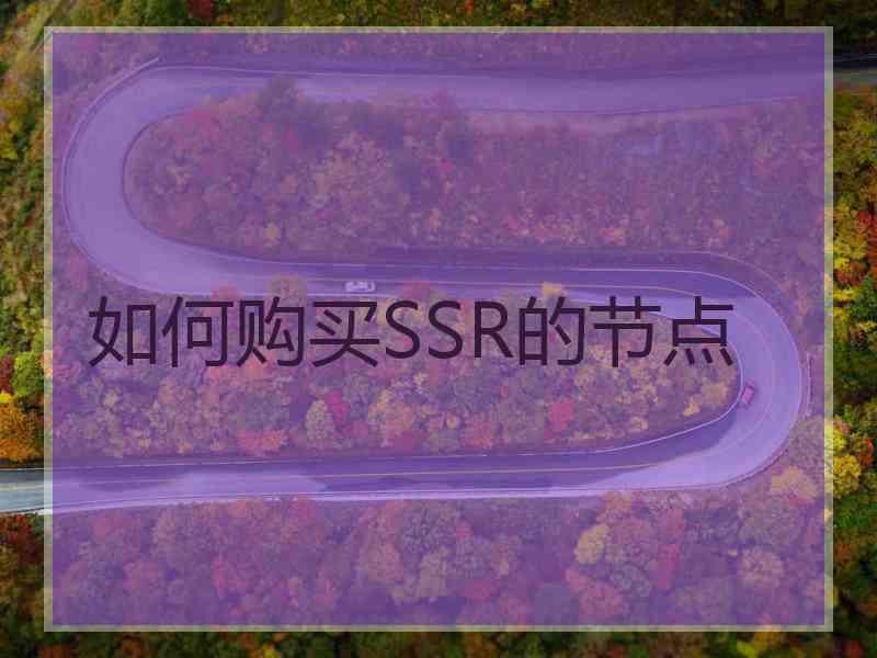 如何购买SSR的节点