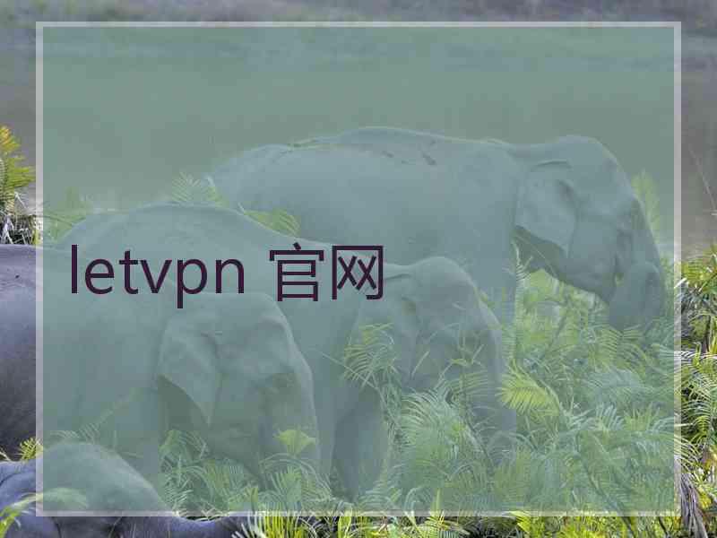 letvpn 官网