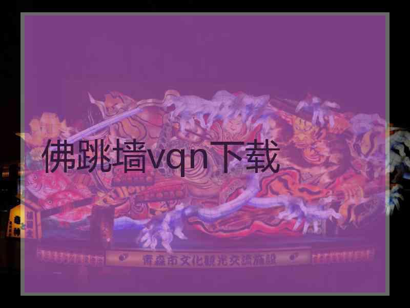 佛跳墙vqn下载