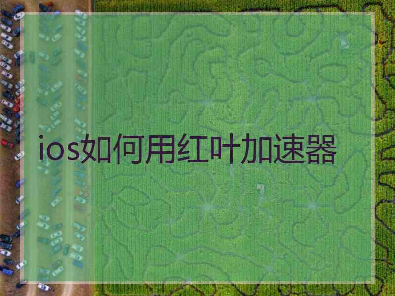 ios如何用红叶加速器