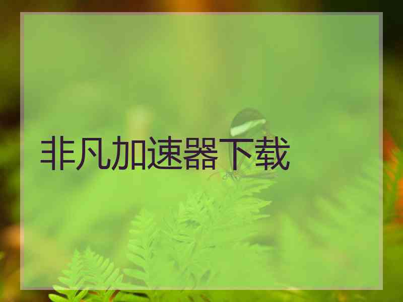 非凡加速器下载