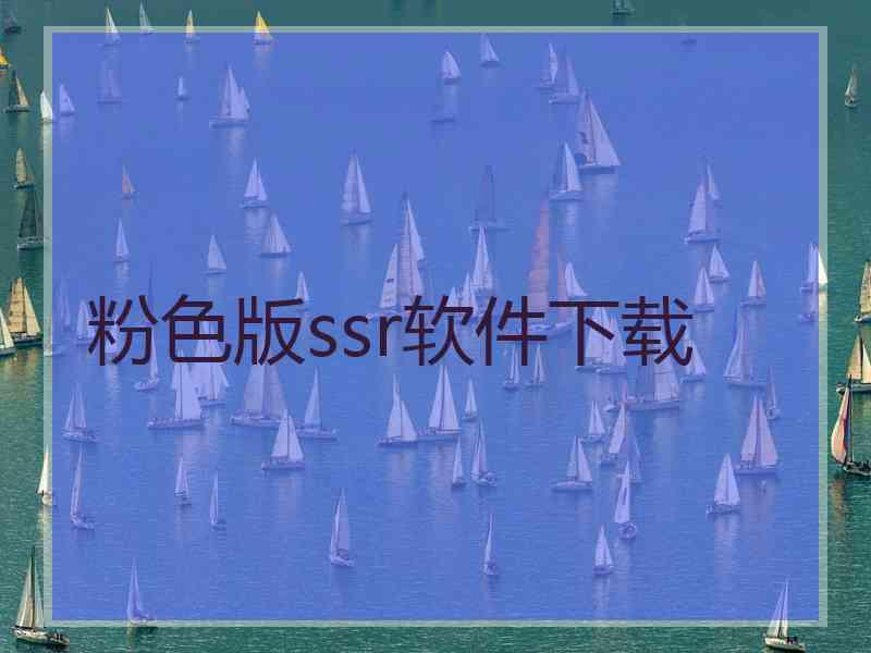 粉色版ssr软件下载