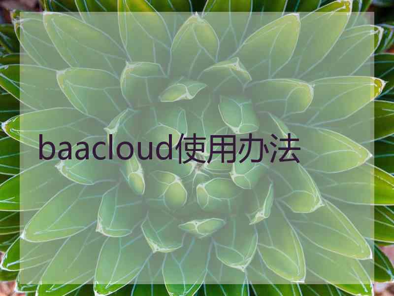 baacloud使用办法