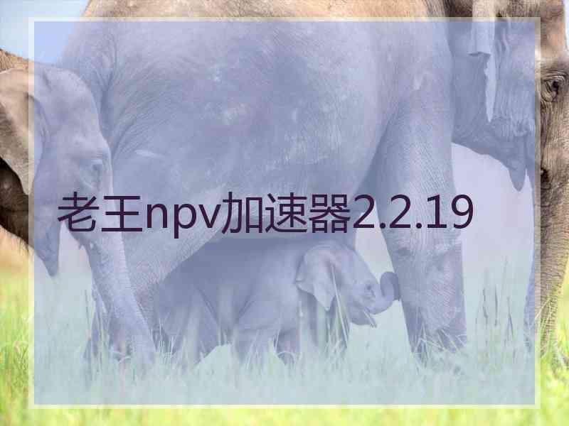 老王npv加速器2.2.19