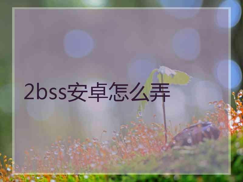 2bss安卓怎么弄