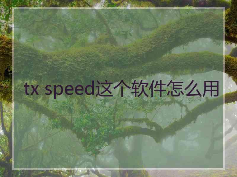 tx speed这个软件怎么用