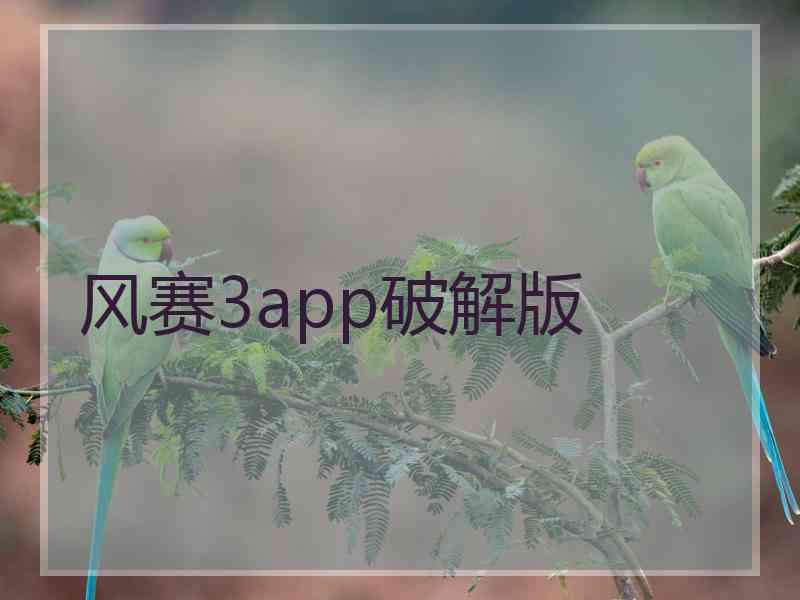 风赛3app破解版