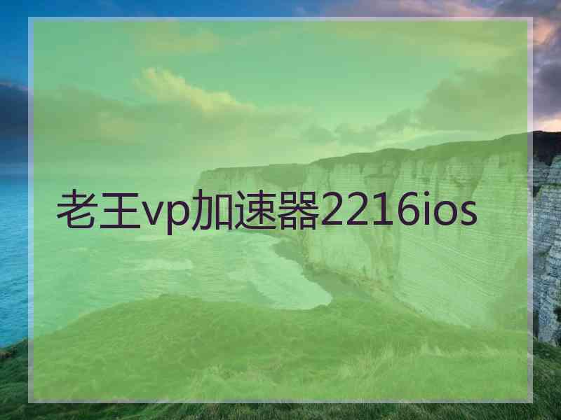 老王vp加速器2216ios