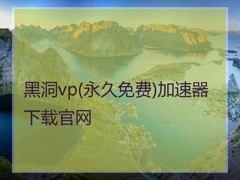 黑洞vp(永久免费)加速器下载官网