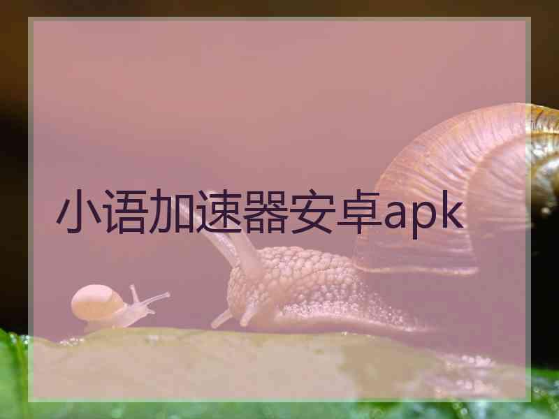 小语加速器安卓apk