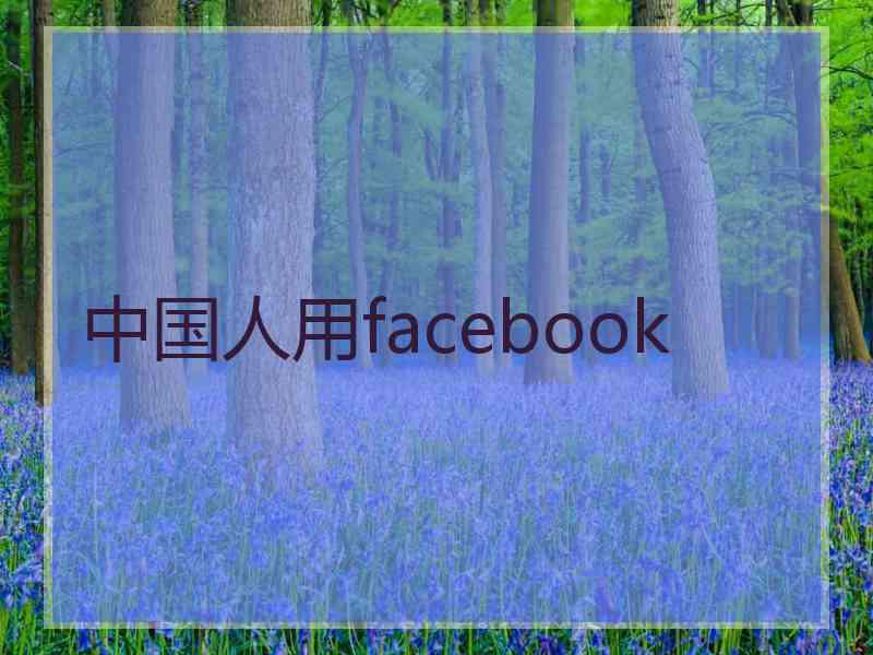 中国人用facebook