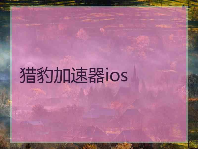 猎豹加速器ios