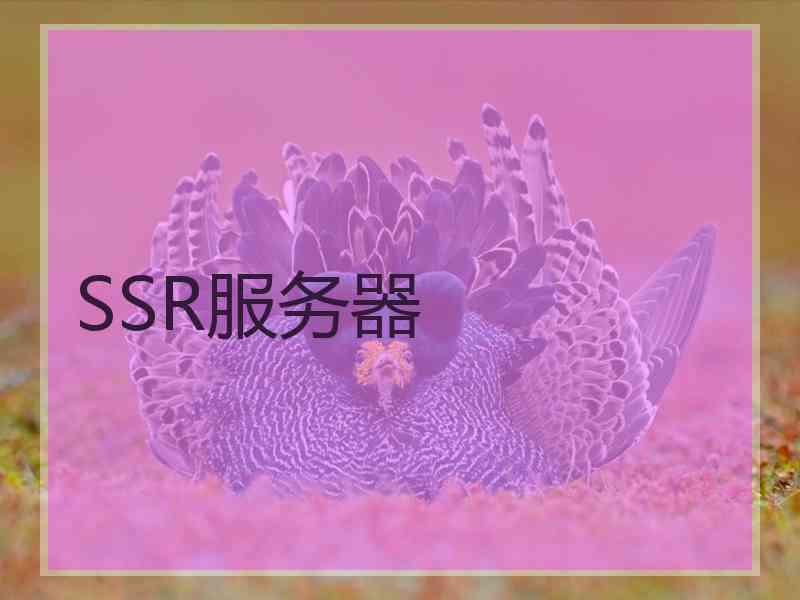 SSR服务器