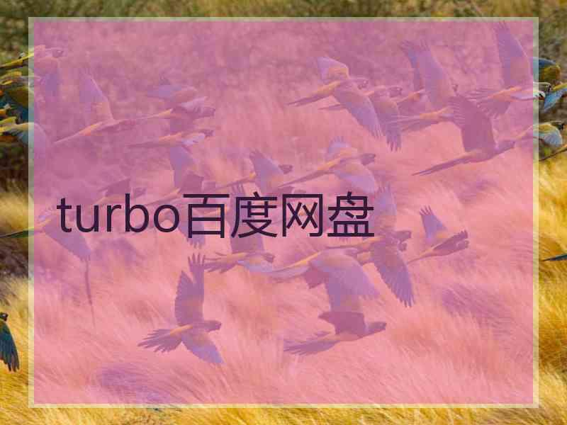 turbo百度网盘