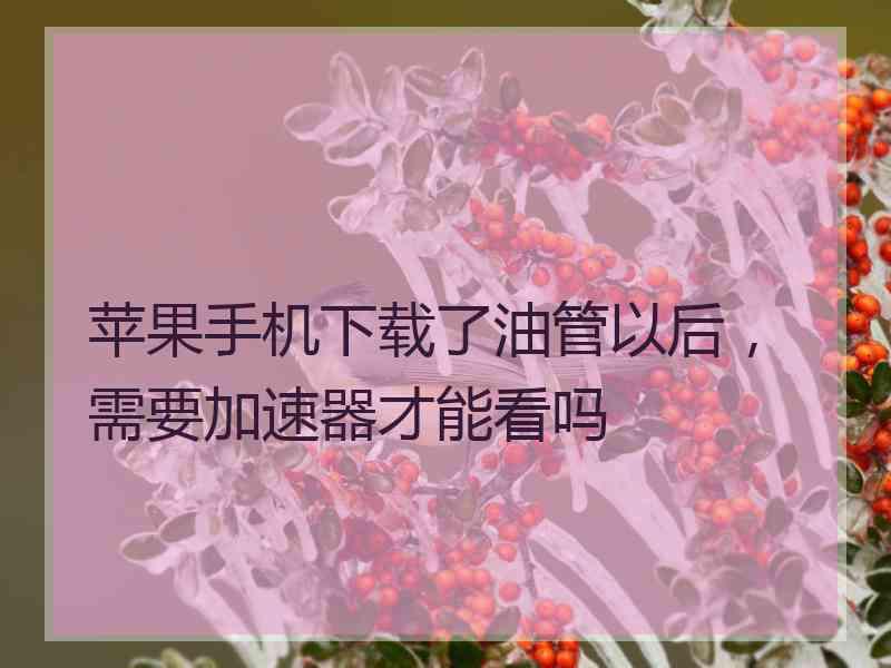 苹果手机下载了油管以后，需要加速器才能看吗