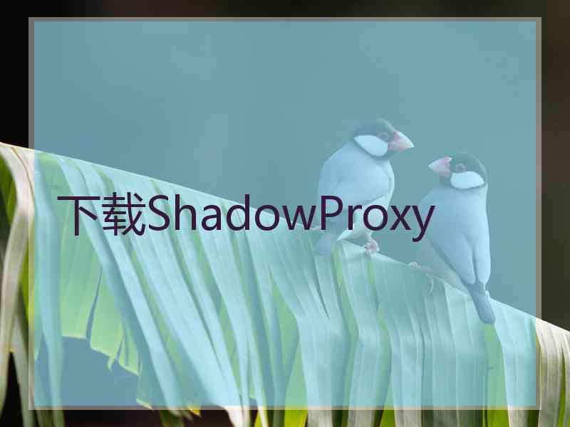 下载ShadowProxy