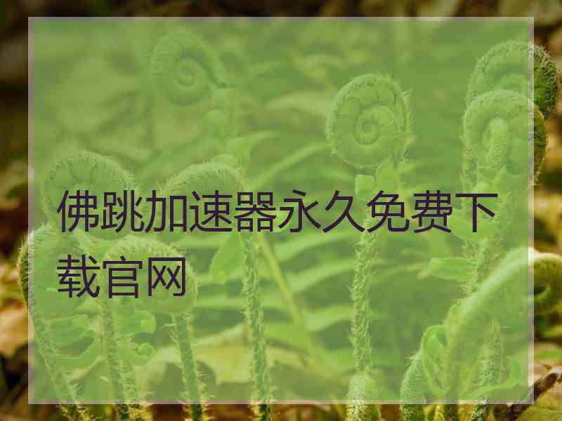 佛跳加速器永久免费下载官网