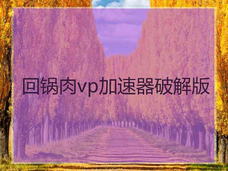 回锅肉vp加速器破解版