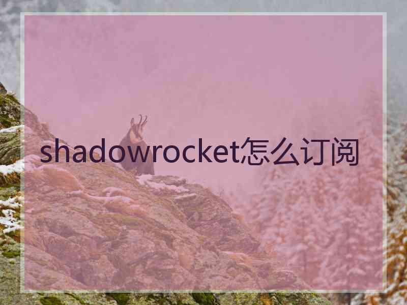 shadowrocket怎么订阅